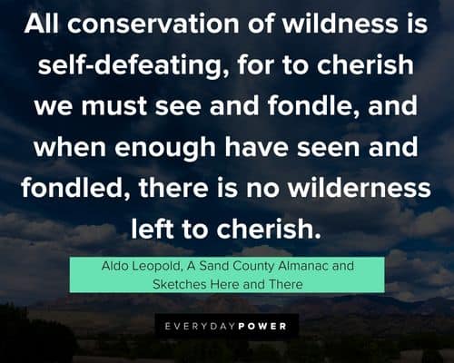 Other Aldo Leopold quotes