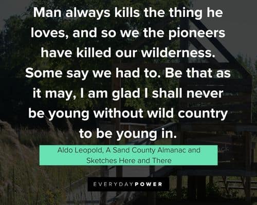 Wise Aldo Leopold quotes