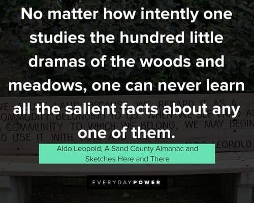 Funny Aldo Leopold quotes