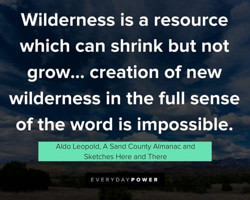 Motivational Aldo Leopold quotes