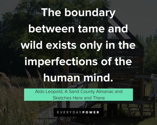 Wise and inspirational Aldo Leopold quotes