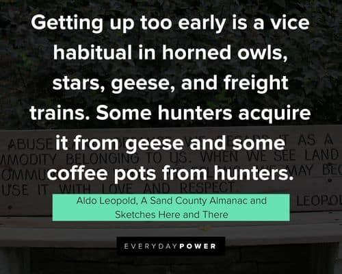 Appreciation Aldo Leopold quotes