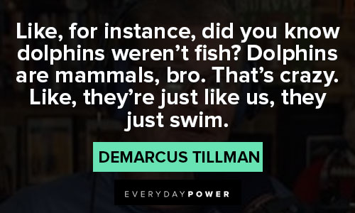 American Vandal quotes that Dolphins 