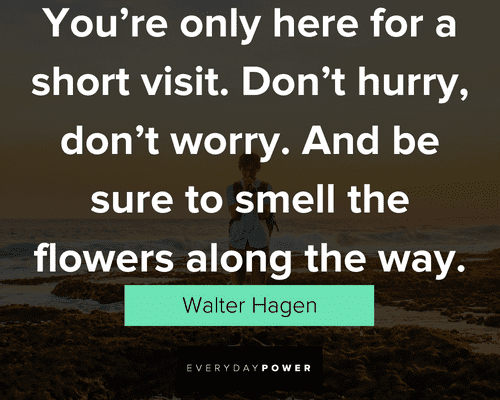 awesome quotes to smell the flowers along the way