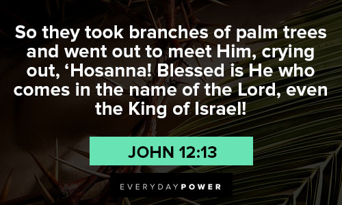 palm sunday quotes about king of israel