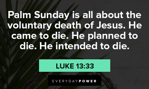 palm sunday quotes from The Bible