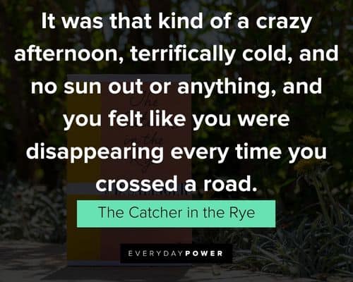 Appreciation Catcher in the Rye quotes