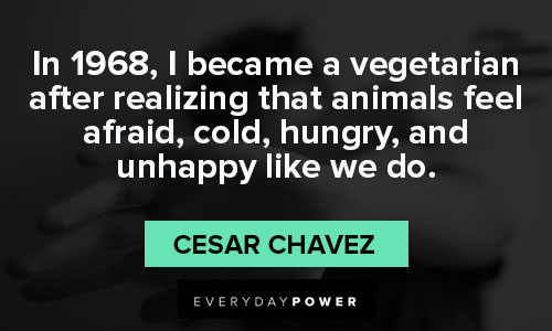Cesar Chavez quotes that animals feel afraid, cold, hungry, and unhappy like we do