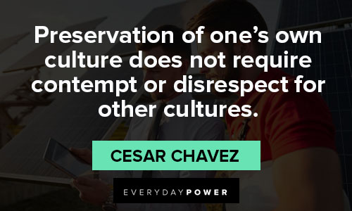 Cesar Chavez quotes that cultures