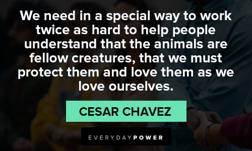 Quotes and Saying Cesar Chavez quotes