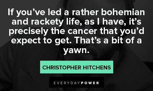 Christopher Hitchens quotes To inspire you