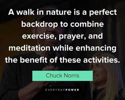Wish Chuck Norris quotes