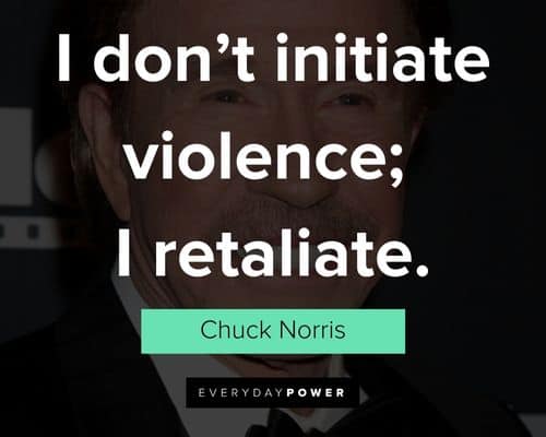 Short Chuck Norris quotes