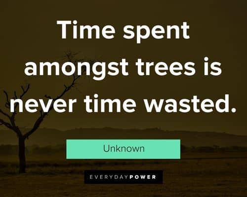 climate change quotes about time spent amongst trees is never time wasted