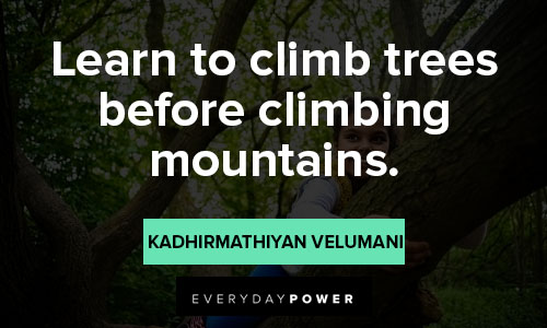 climbing quotes on learn to climb trees before climbing mountains