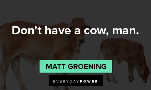 cow quotes about don't have a cow, man