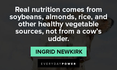 cow quotes about nutrition