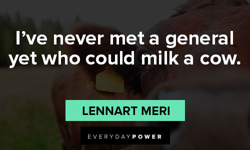 cow quotes on i've never met a general yet who could milk a cow
