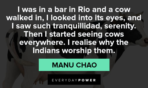 cow quotes from Manu Chao