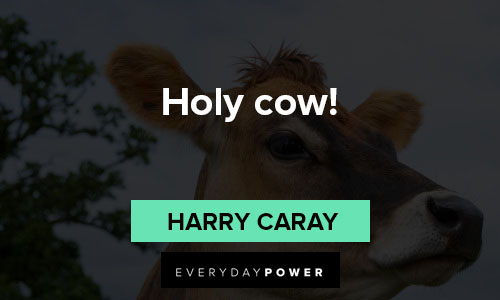 cow quotes about holy cow