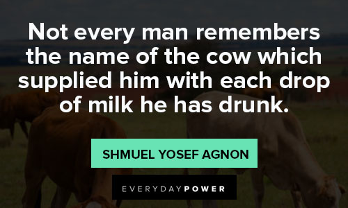 cow quotes about milk