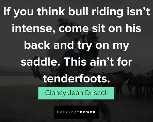 Cowboy quotes and sayings about bull riding
