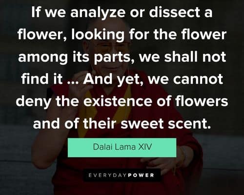Funny Dalai Lama Quotes