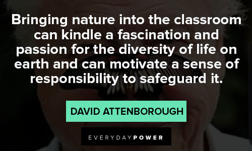 david attenborough quotes about nature