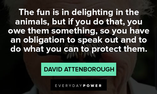 david attenborough quotes on conservation