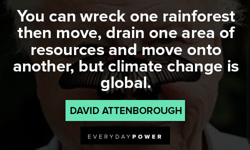 david attenborough quotes about rainforest
