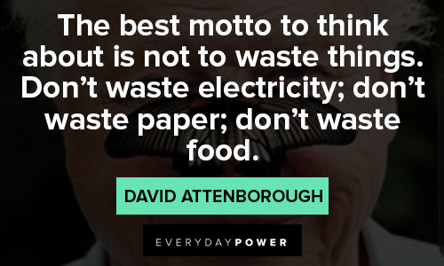 david attenborough quotes on food
