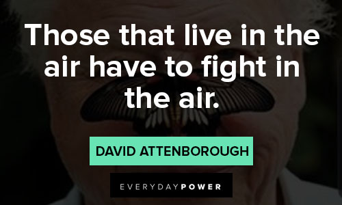 david attenborough quotes on air