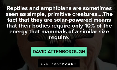 Other david attenborough quotes