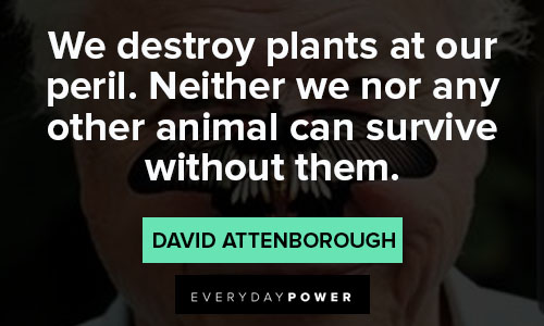 david attenborough quotes on we destroy plants at our peril