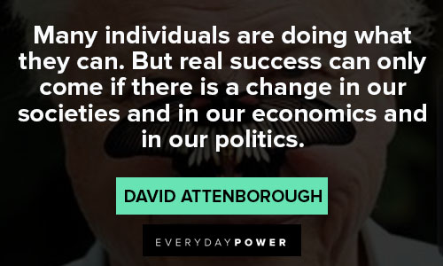 david attenborough quotes about success