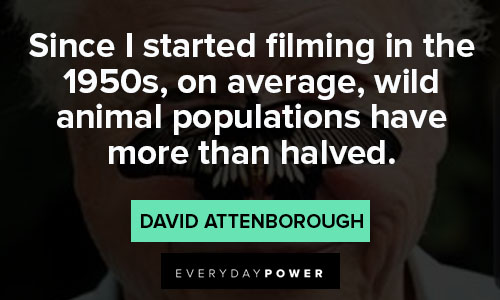 david attenborough quotes about filming