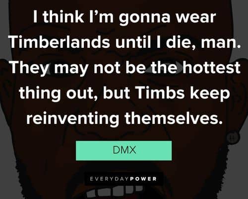 Special DMX quotes