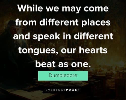 Amazing Dumbledore quotes