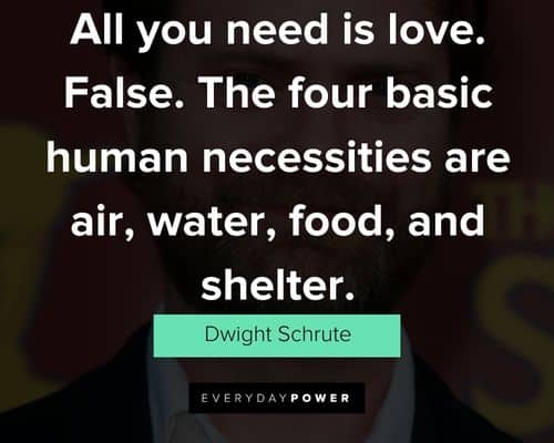 Dwight Schrute quotes on life