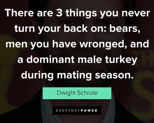 Wise and inspirational Dwight Schrute quotes