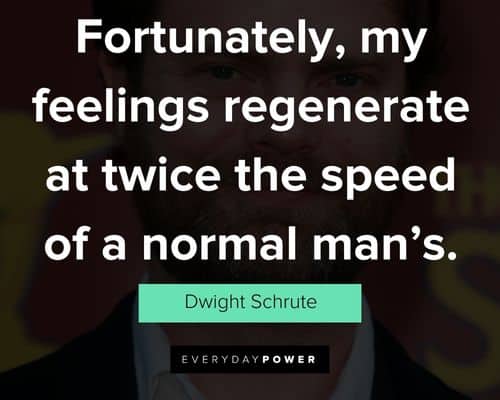 Best Dwight Schrute quotes