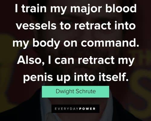 More Dwight Schrute quotes