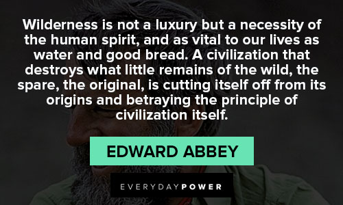 Edward Abbey quotes on civilization 