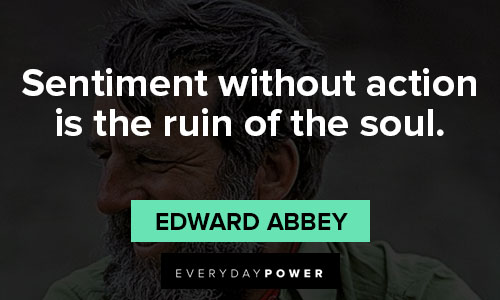 Edward Abbey quotes of sentiment without action is the ruin of the soul