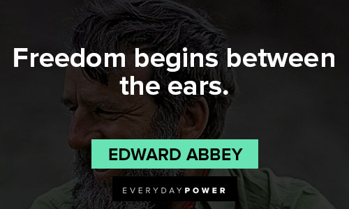 Edward Abbey quotes of freedom begins between the ears