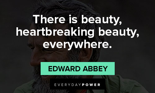 Edward Abbey quotes on there is beauty, heartbreaking beauty, everywhere