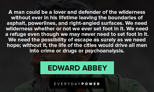 Edward Abbey quotes that crime or drugs or psychoanalysis