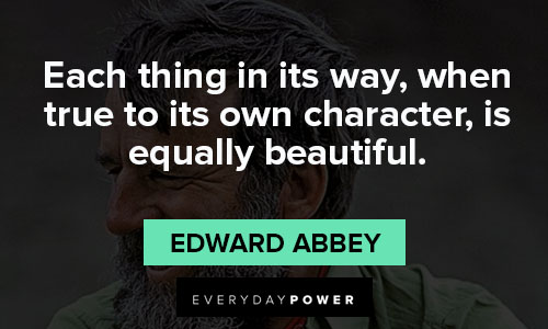 Edward Abbey quotes on beautiful