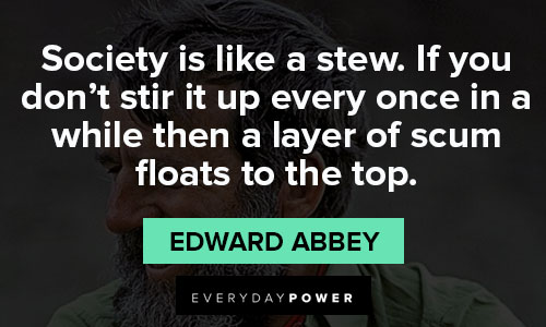 25 Edward Abbey Quotes From the Environmental Activist (2023)