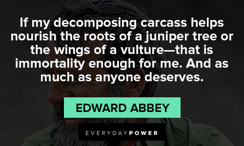 Wise Edward Abbey quotes